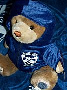 AFL PREMIERSHIP BEAR 29CM & TOWEL 2009 NEW GEELONG CATS 82 CM X 152 CM